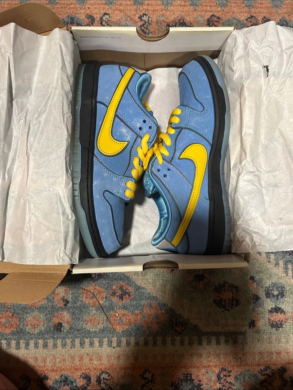 Nike SB dunk low Powerpuff Girls Bubbles